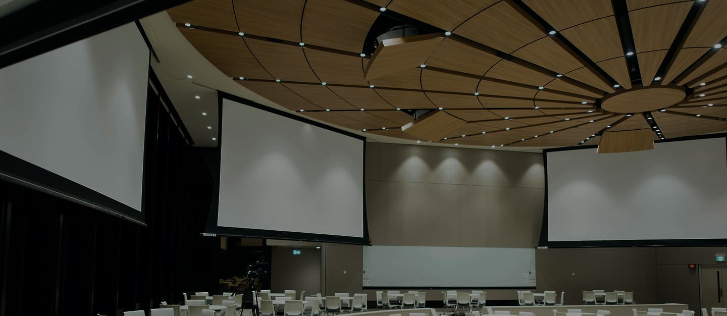 Highlights & What’s Next